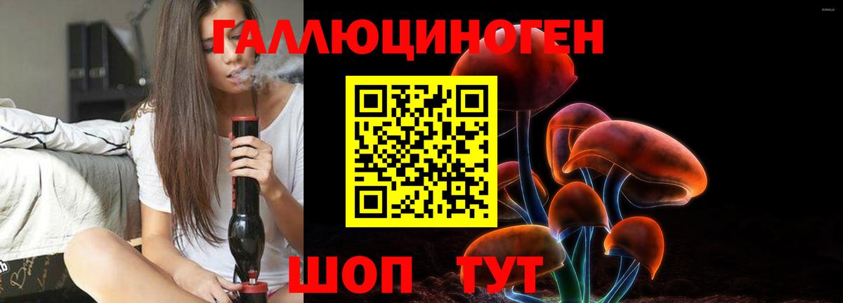 как найти   Галлюциногенные грибы Psilocybe  Вход с VPN  Кизляр 